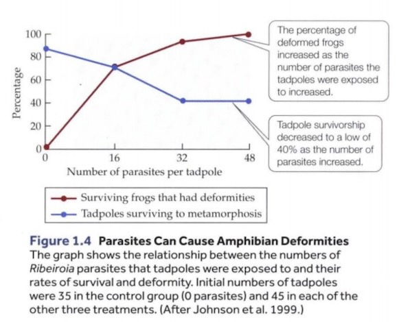 Resultados experimentales